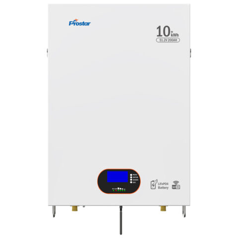 PLW51200 48v 10kwh wall mounted LiFePO4 51.2V 200ah lithium battery